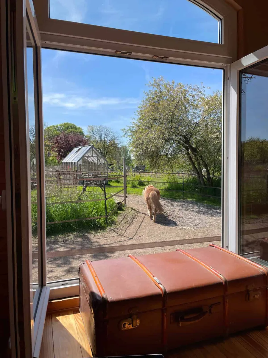 Pony-Betreuung und Urlaub im Bauwagen