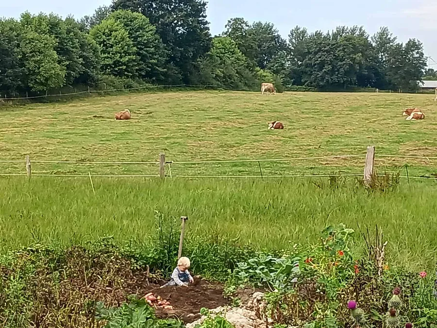 Landwirtschaft, Tierhaltung und Garten