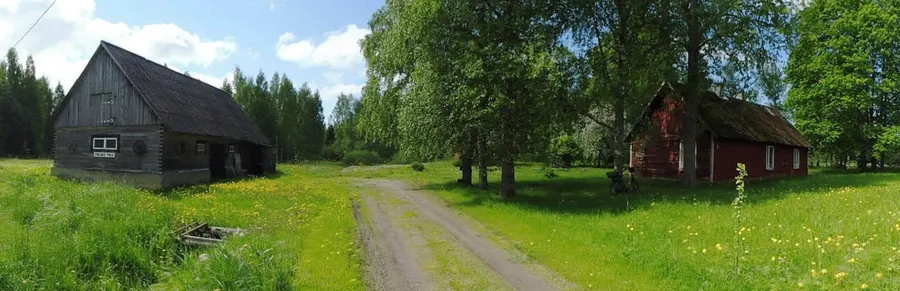 Natur, Wald, Meer an einem Ort