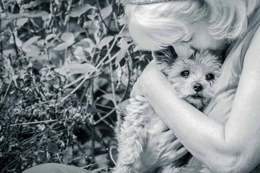 Sofie