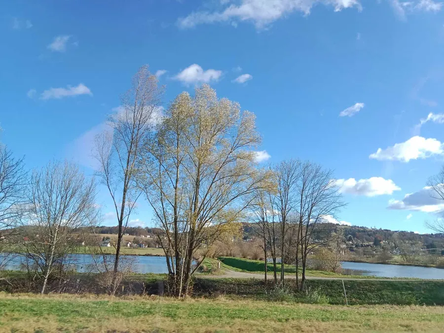 Haus am See (privater Badeteich) - Südsteiermark