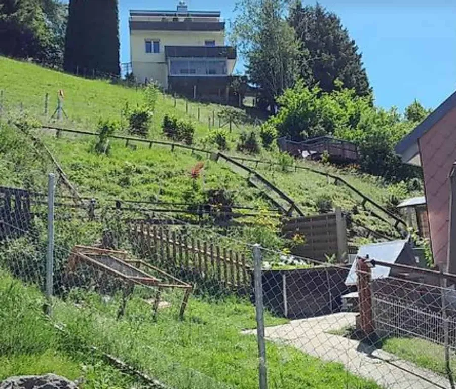 Meerschweinchen-Gnadenhof braucht Unterstützung