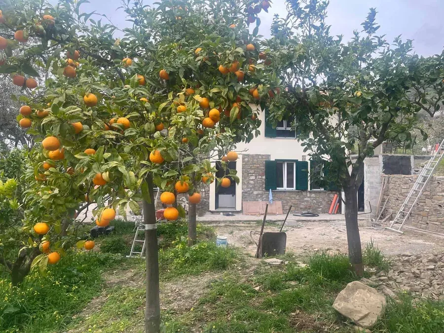 Helfer und Haussitter für Ferienhaus in Süditalien gesucht