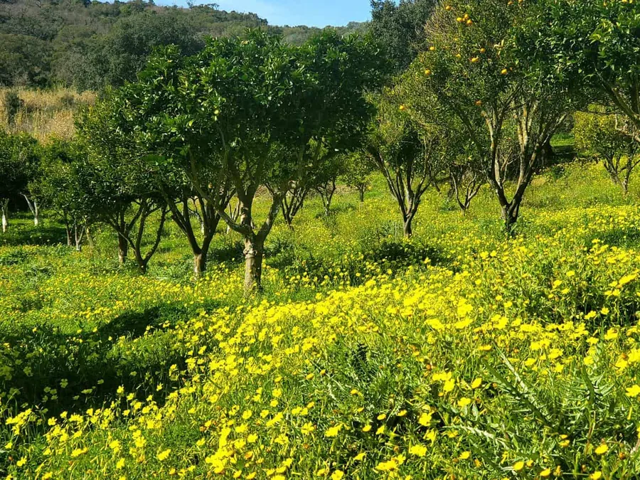 Sardinien, Stellplatz auf eco Farm mit gemeinnützigem Camp