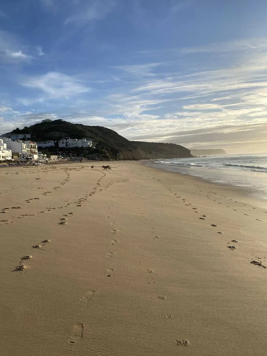 Garden help in exchange for Van Spot – Luz,Algarve Portugal