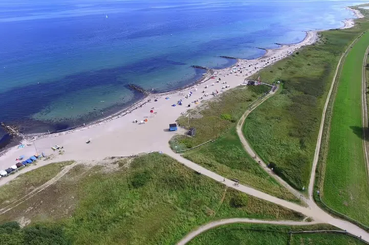 Tiersitting an der Ostsee