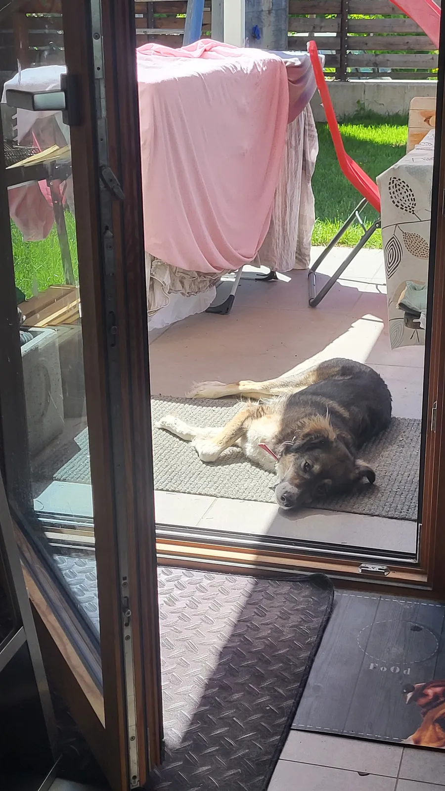 Mama mit 3 Kindern ( Baby, 6 und8) und Hund sucht Urlaub gegen Hand für 10/14 Tage im August